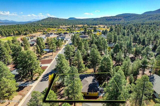 birds eye view of property featuring a mountain view