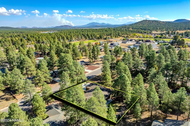 drone / aerial view with a mountain view