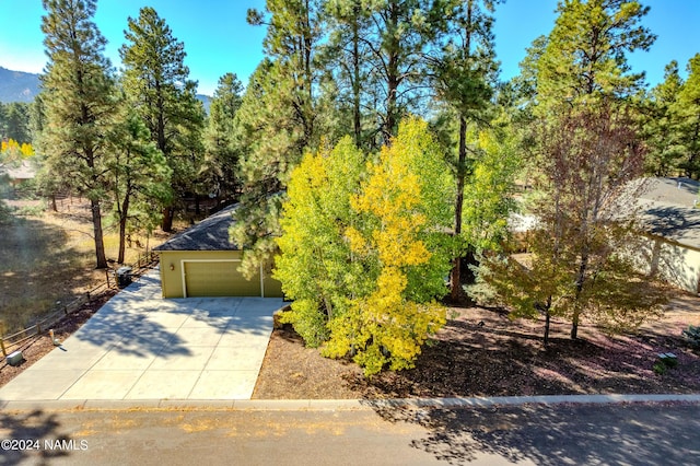 obstructed view of property with a garage