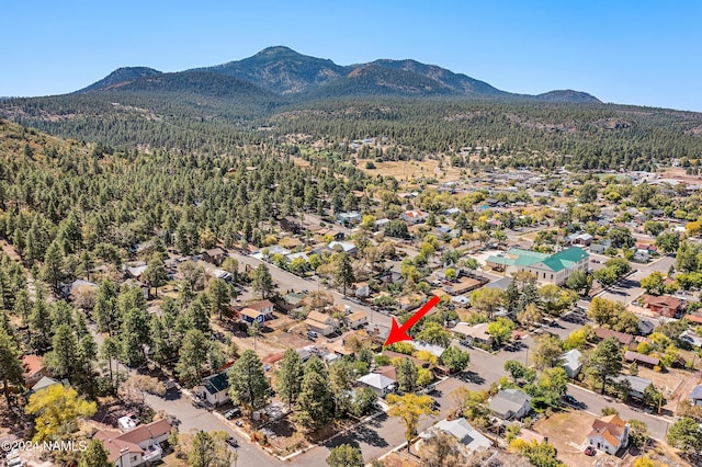 bird's eye view featuring a mountain view