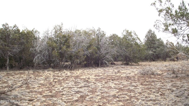 3581 N Knoll Dr, Williams, AZ 86046