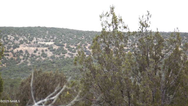 3581 N Knoll Dr, Williams, AZ 86046