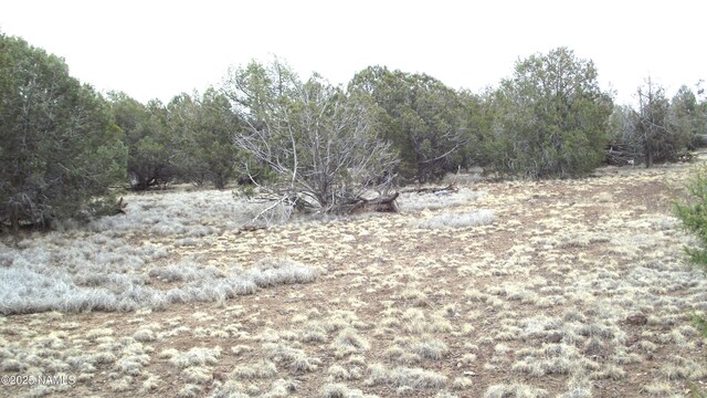 3581 N Knoll Dr, Williams, AZ 86046