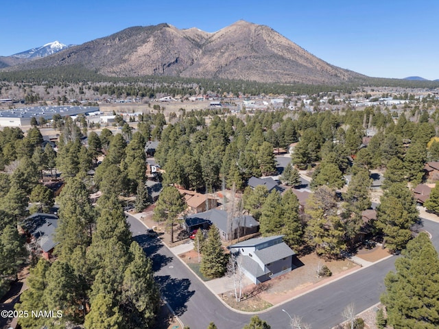 3792 E Ramble Wood Dr, Flagstaff, AZ 86004 - drone / aerial view featuring a mountain view