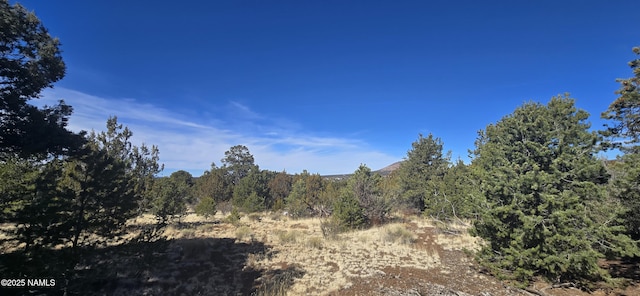 7084 N Sycamore Dr, Williams AZ, 86046 land for sale