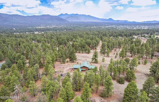 7175 Whispering Pines Dr, Flagstaff, AZ 86004 - photo 3