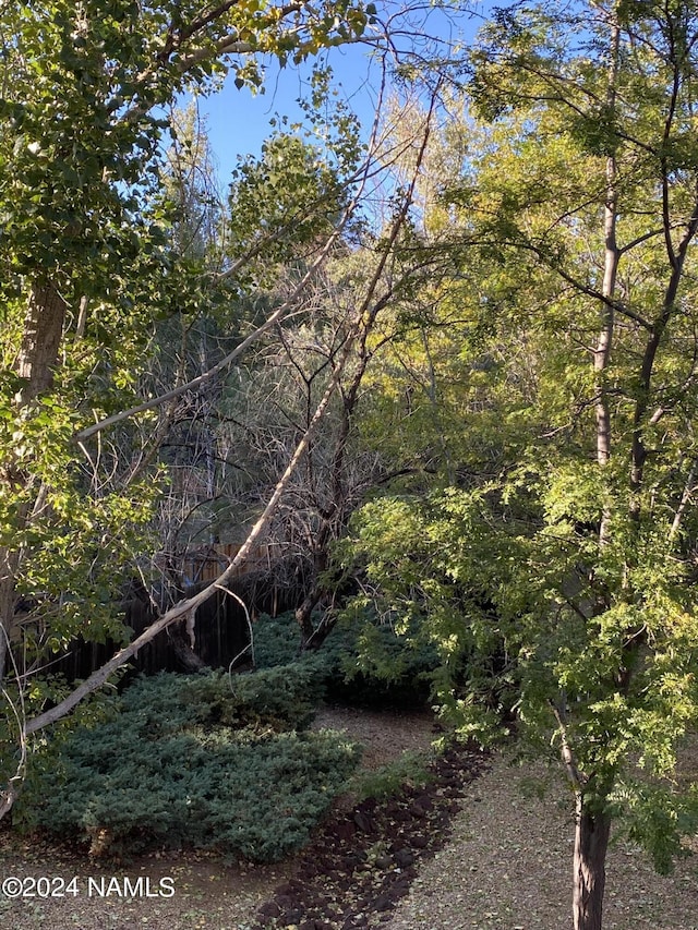 view of local wilderness