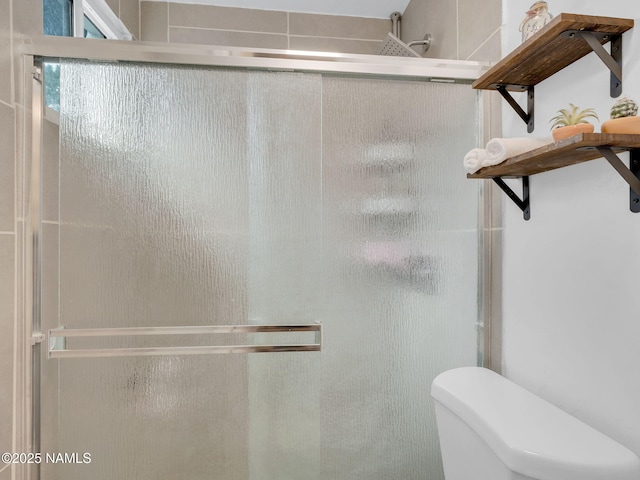 2821 N Tindle Blvd, Flagstaff, AZ 86004 - bathroom featuring toilet and a shower stall