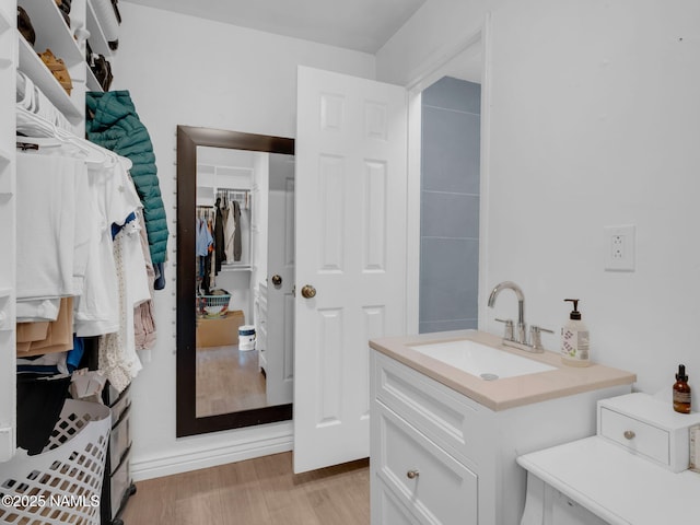 2821 N Tindle Blvd, Flagstaff, AZ 86004 - bathroom featuring vanity, wood finished floors, and a spacious closet