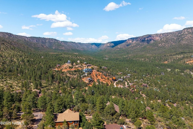 mountain view featuring a forest view