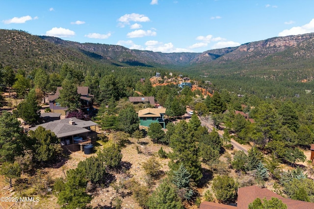 birds eye view of property featuring a view of trees and a mountain view