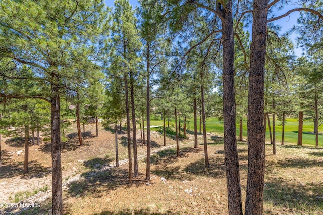 1734 E Mossy Oak Ct Unit 3, Flagstaff, AZ 86005 - photo 36