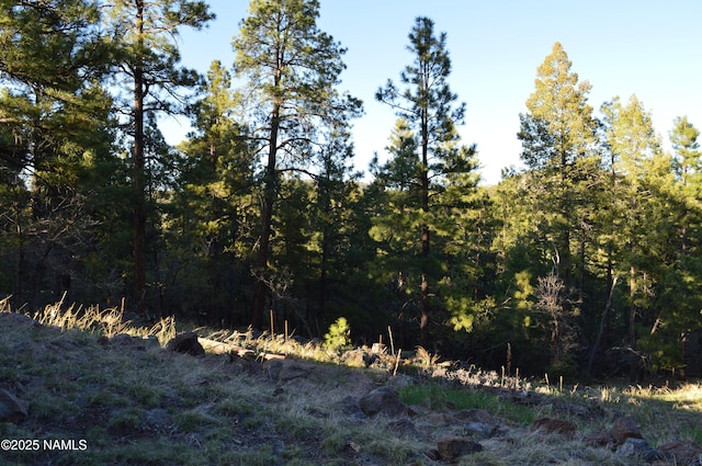 1575 Pine Meadow Dr, Williams, AZ 86046