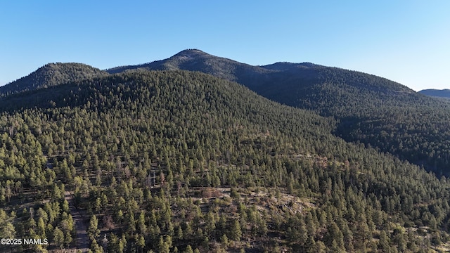 1575 Pine Meadow Dr, Williams, AZ 86046