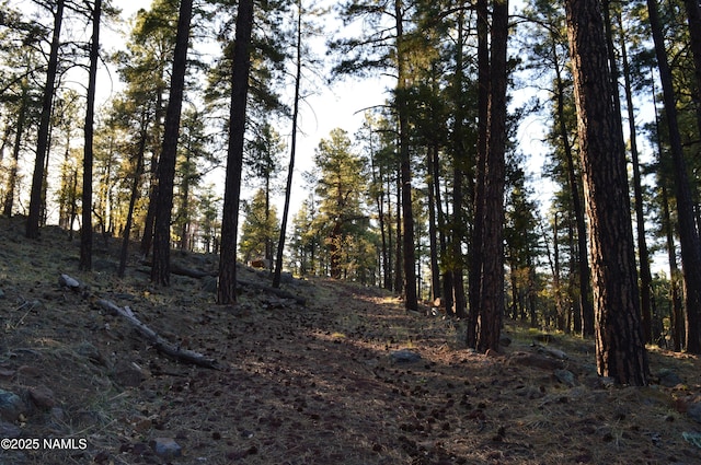 1575 Pine Meadow Dr, Williams, AZ 86046