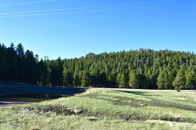 1575 Pine Meadow Dr, Williams, AZ 86046