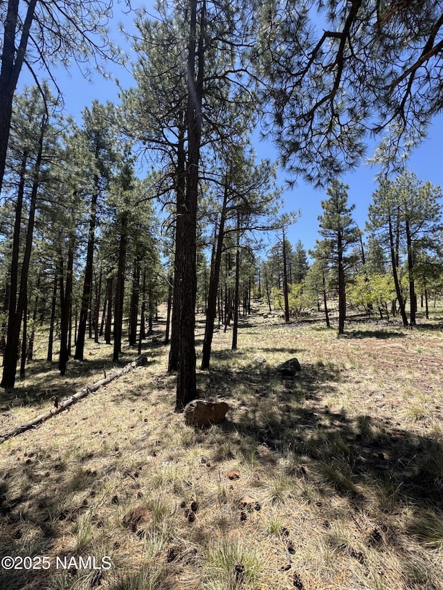 1575 Pine Meadow Dr, Williams, AZ 86046