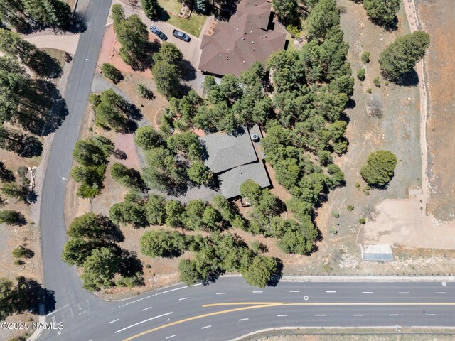 951 N Skyview St, Flagstaff, AZ 86004 - photo 49