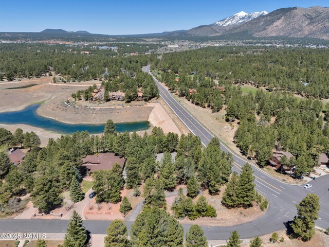951 N Skyview St, Flagstaff, AZ 86004 - photo 43