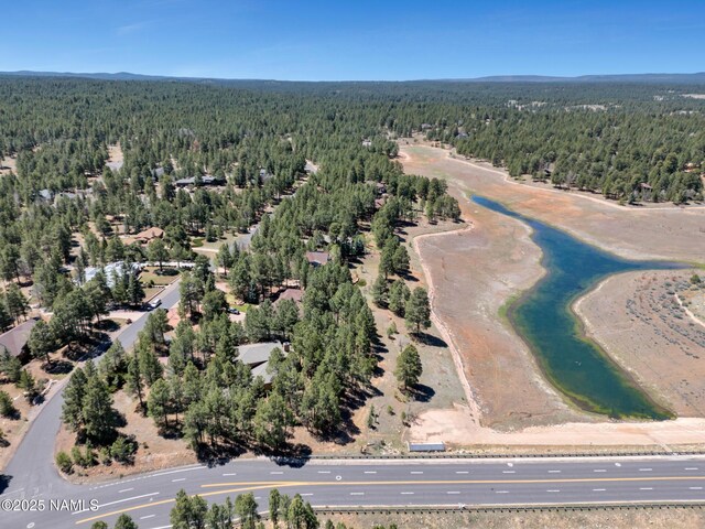 951 N Skyview St, Flagstaff, AZ 86004 - photo 48