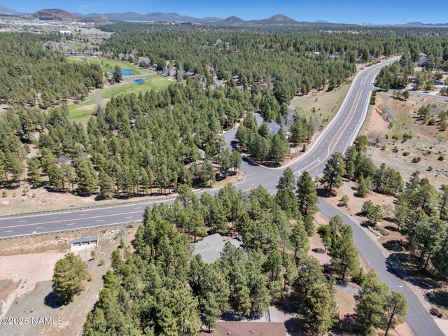 951 N Skyview St, Flagstaff, AZ 86004 - photo 46