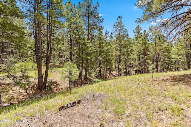 view of local wilderness with a forest view
