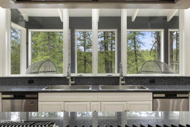1430 E Puma Pl Unit F, Munds Park, AZ 86017 - kitchen featuring stainless steel dishwasher and healthy amount of natural light