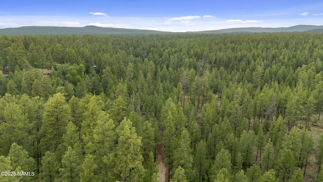 1430 E Puma Pl Unit F, Munds Park, AZ 86017 - view of mountain background with a heavily wooded area