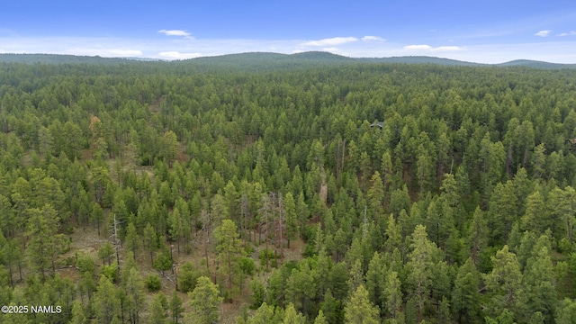 1430 E Puma Pl Unit F, Munds Park, AZ 86017 - mountain view with a forest
