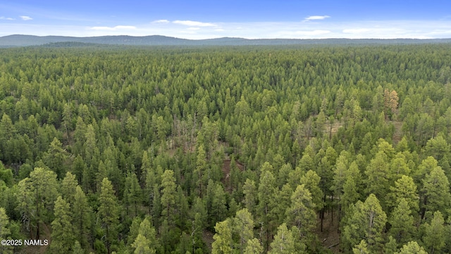 1430 E Puma Pl Unit F, Munds Park, AZ 86017 - view of mountain background featuring a forest