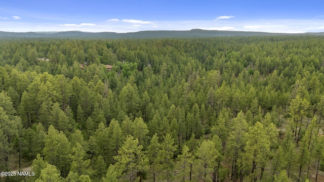 1430 E Puma Pl Unit F, Munds Park, AZ 86017 - mountain view with a heavily wooded area
