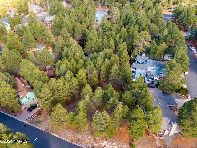 1654 N Wood Hollow Way, Flagstaff AZ, 86004 land for sale