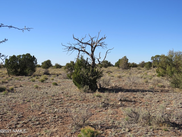 2150 Red Butte Rd, Williams, AZ 86046