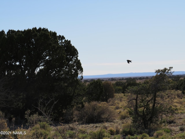 Listing photo 3 for 2150 Red Butte Rd, Williams AZ 86046