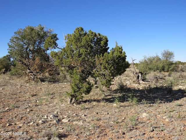 2150 Red Butte Rd, Williams, AZ 86046