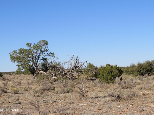 2150 Red Butte Rd, Williams, AZ 86046