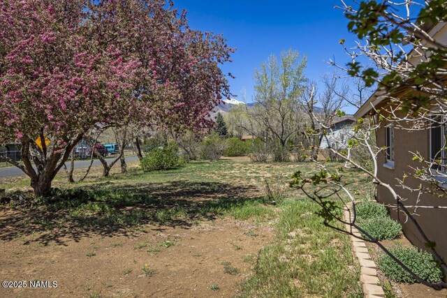 6135 Deer Dr, Flagstaff, AZ 86004 - photo 28