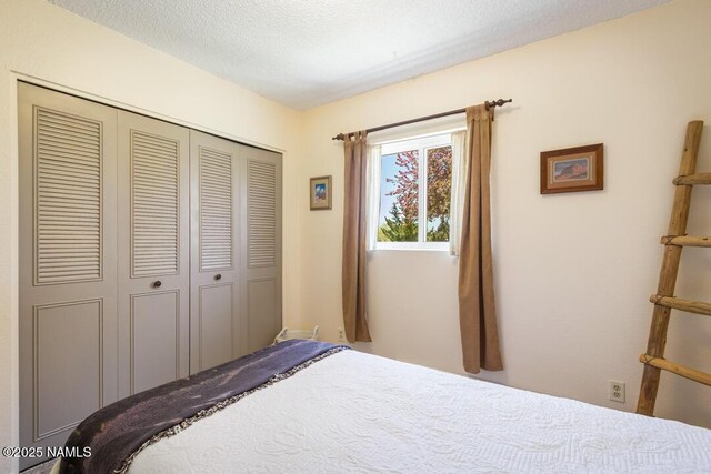 6135 Deer Dr, Flagstaff, AZ 86004 - photo 22