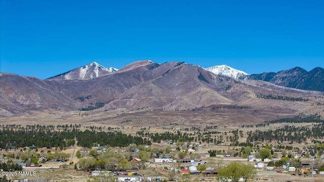 6135 Deer Dr, Flagstaff, AZ 86004 - photo 46