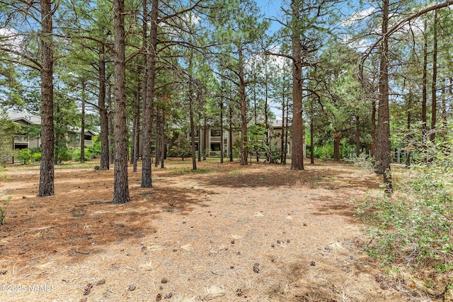 1401 N 4th St Unit 228, Flagstaff, AZ 86004 - view of local wilderness