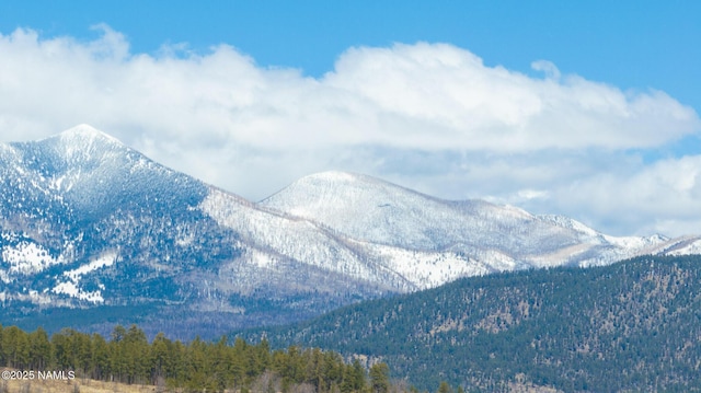 1200 S Riordan Ranch St Unit 36, Flagstaff, AZ 86001 - property view of mountains