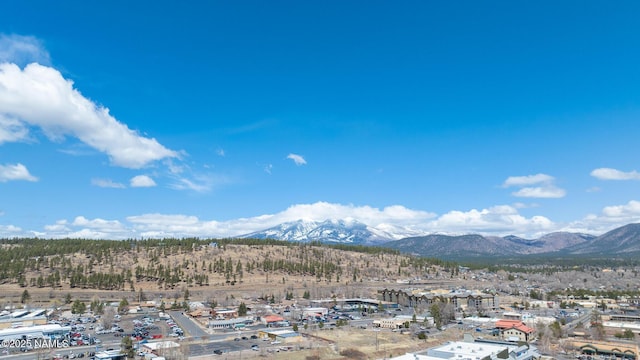 1200 S Riordan Ranch St Unit 36, Flagstaff, AZ 86001 - property view of mountains
