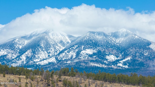 1200 S Riordan Ranch St Unit 36, Flagstaff, AZ 86001 - property view of mountains