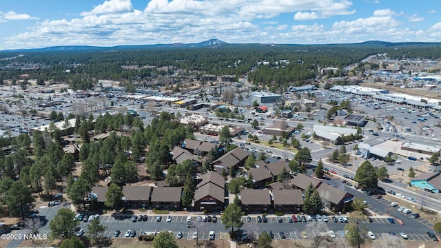 1200 S Riordan Ranch St Unit 36, Flagstaff, AZ 86001 - birds eye view of property with a mountain view and a view of trees