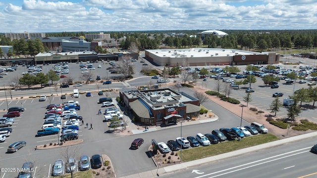 1200 S Riordan Ranch St Unit 36, Flagstaff, AZ 86001 - aerial view