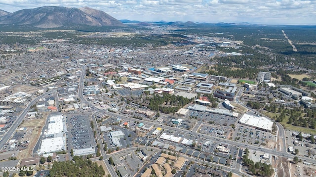 1200 S Riordan Ranch St Unit 36, Flagstaff, AZ 86001 - drone / aerial view featuring a mountain view
