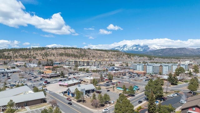 1200 S Riordan Ranch St Unit 36, Flagstaff, AZ 86001 - birds eye view of property with a mountain view