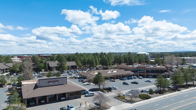 1200 S Riordan Ranch St Unit 36, Flagstaff, AZ 86001 - birds eye view of property