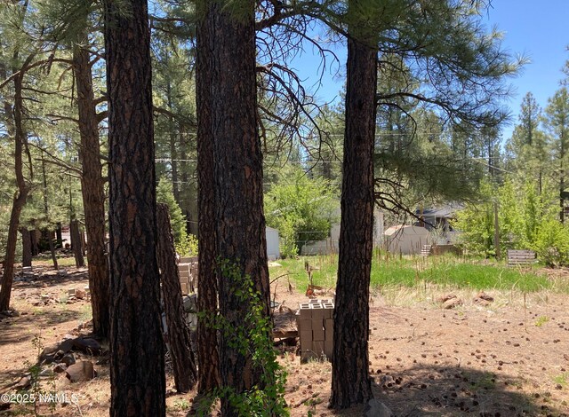 17155 Iron Springs Rd, Munds Park, AZ 86017 - photo 4