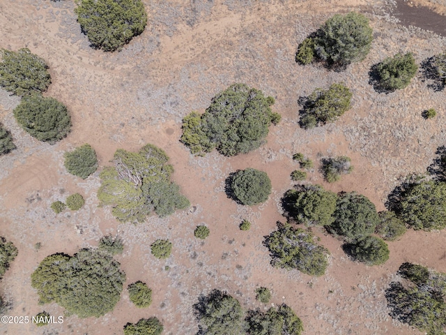 2941 E Hoctor Rd, Williams, AZ 86046 - photo 44